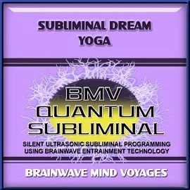 Brainwave Mind Voyages